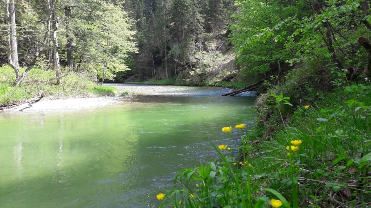 Gastezimmer Salzatal Greith  Zewnętrze zdjęcie