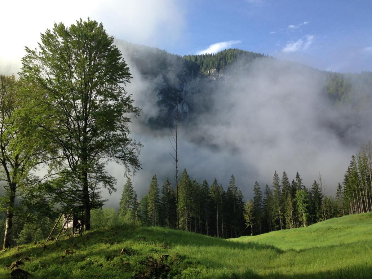 Gastezimmer Salzatal Greith  Zewnętrze zdjęcie