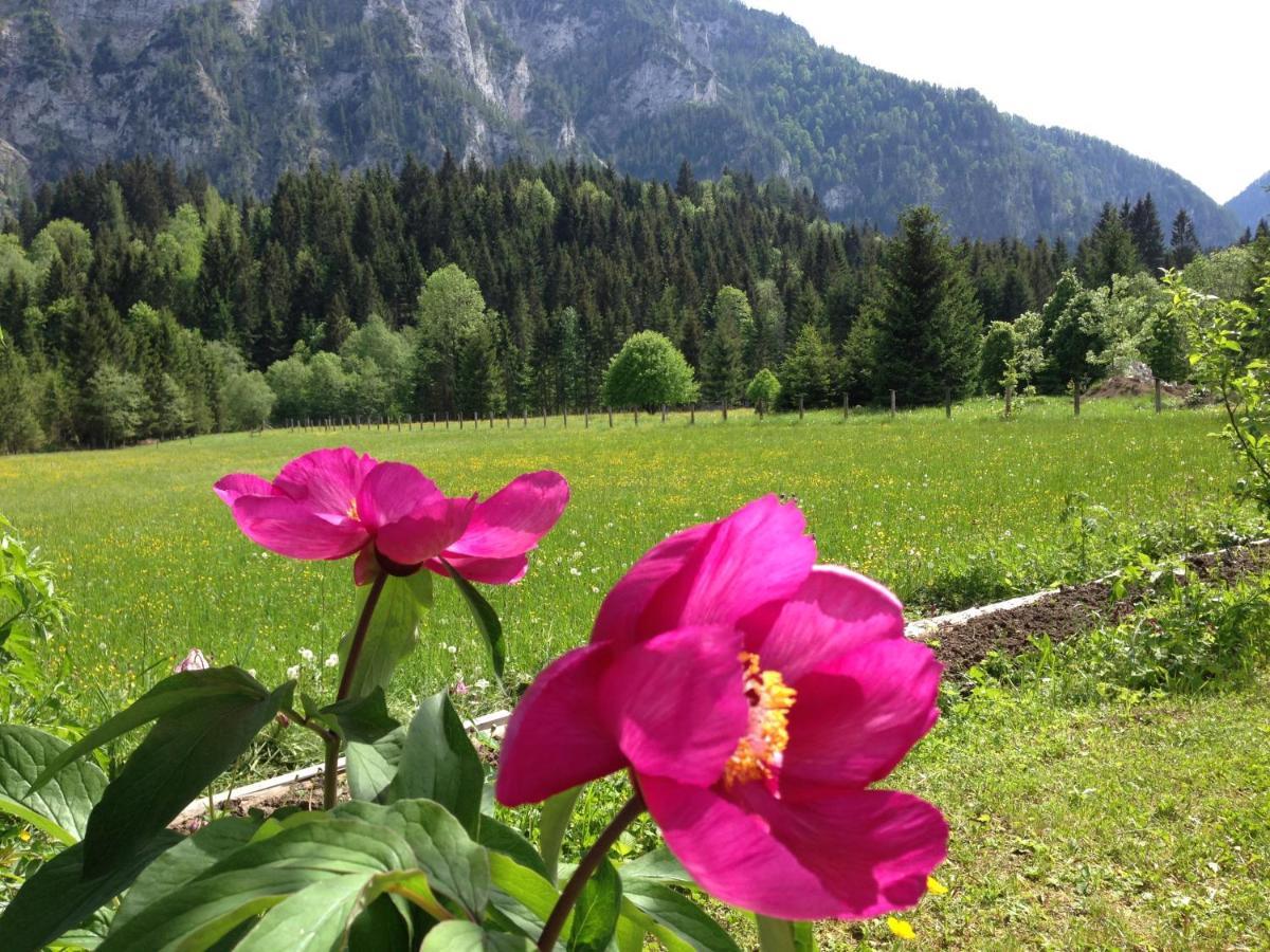 Gastezimmer Salzatal Greith  Zewnętrze zdjęcie