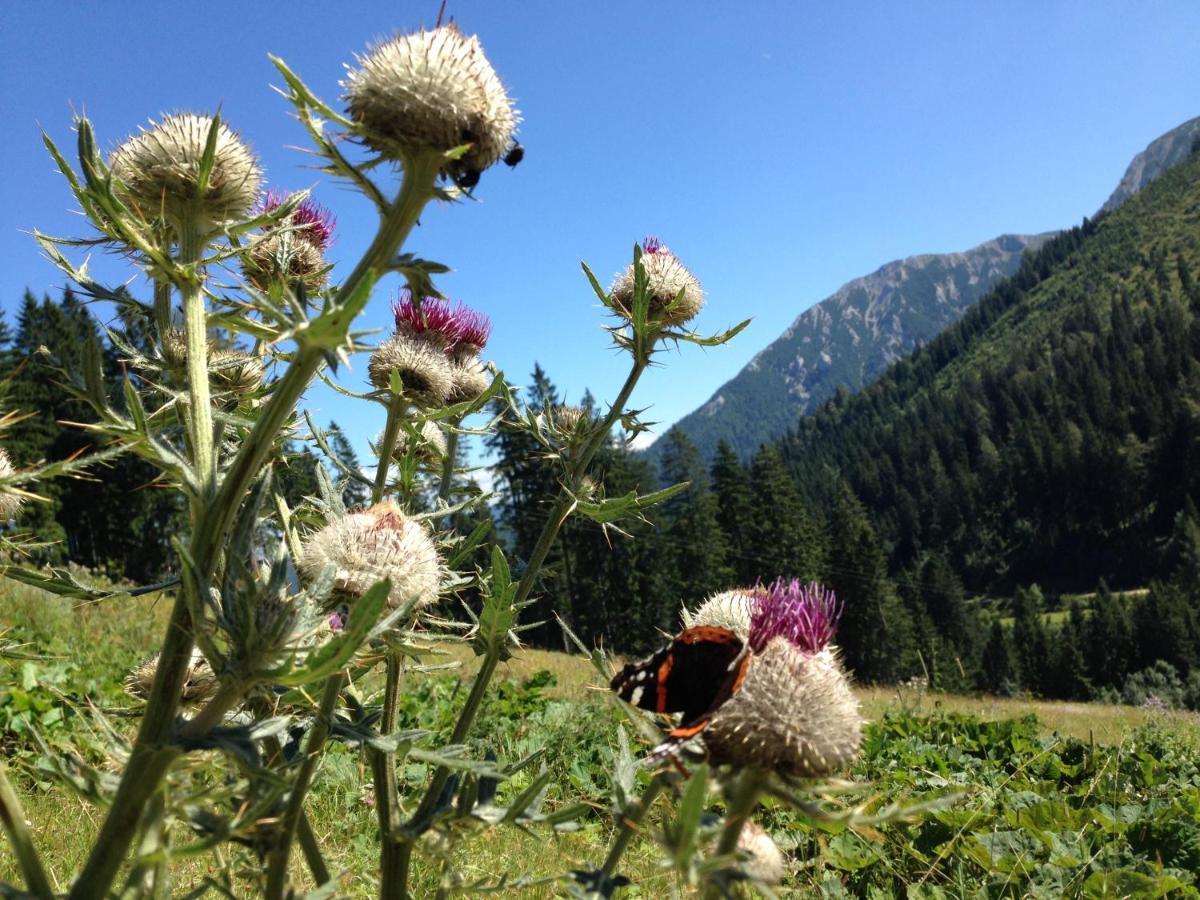 Gastezimmer Salzatal Greith  Zewnętrze zdjęcie