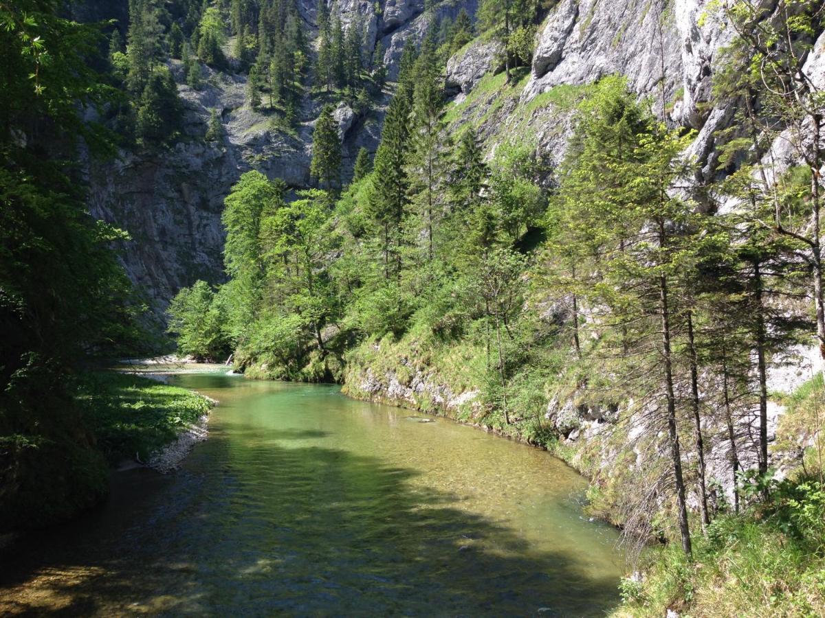 Gastezimmer Salzatal Greith  Zewnętrze zdjęcie