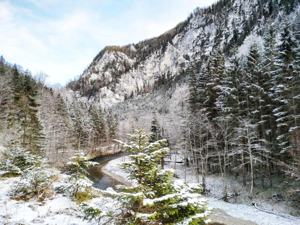 Gastezimmer Salzatal Greith  Zewnętrze zdjęcie