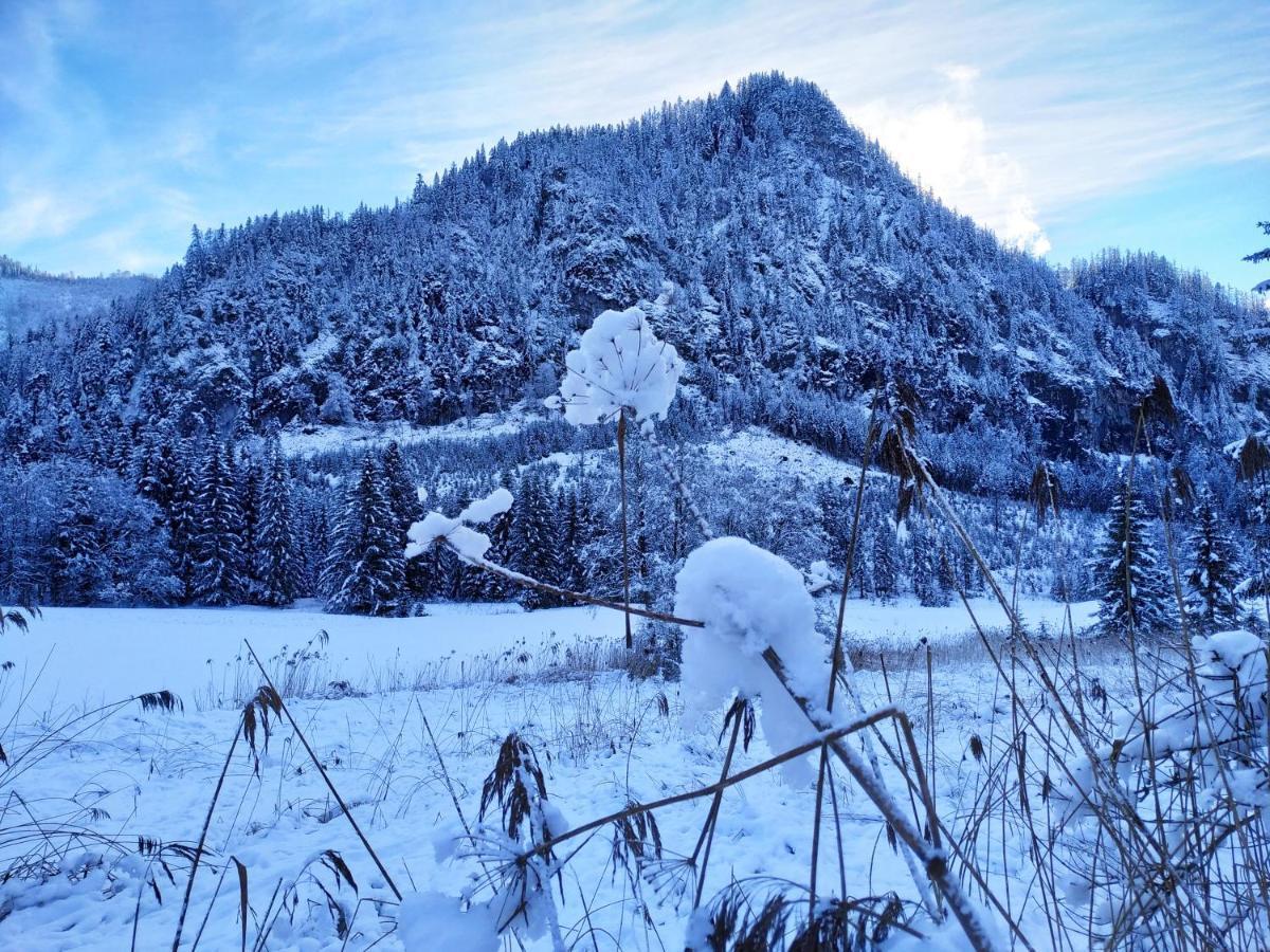 Gastezimmer Salzatal Greith  Zewnętrze zdjęcie