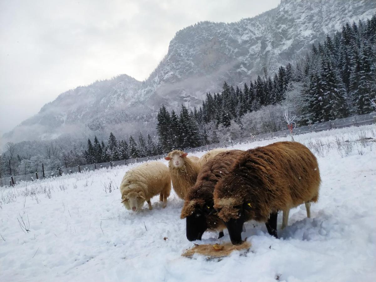 Gastezimmer Salzatal Greith  Zewnętrze zdjęcie