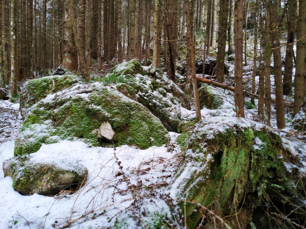 Gastezimmer Salzatal Greith  Zewnętrze zdjęcie